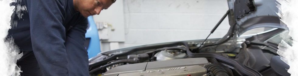Mercedes Specialists